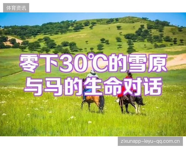 26分未必安全：数字背后的真实风险与解决方案